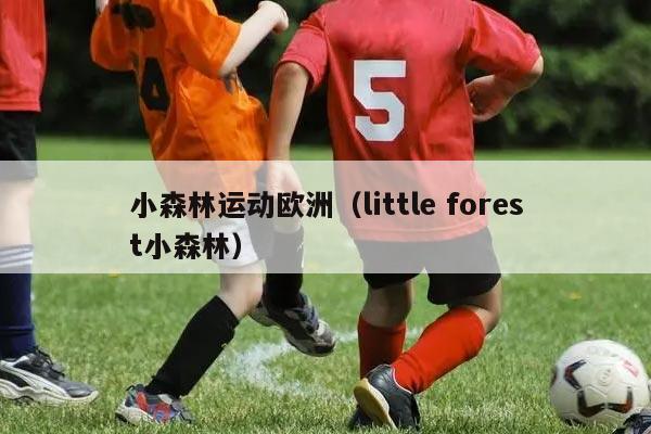 小森林运动欧洲（little forest小森林）