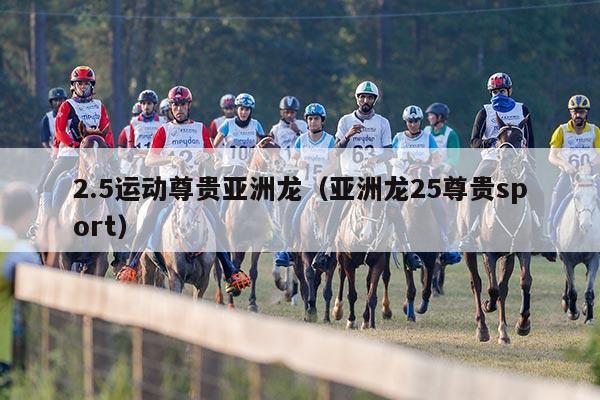 2.5运动尊贵亚洲龙（亚洲龙25尊贵sport）