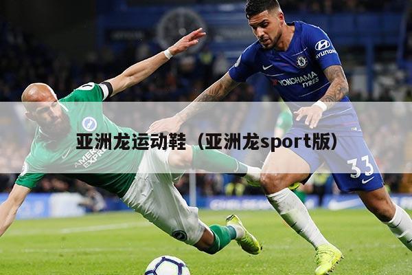 亚洲龙运动鞋（亚洲龙sport版）