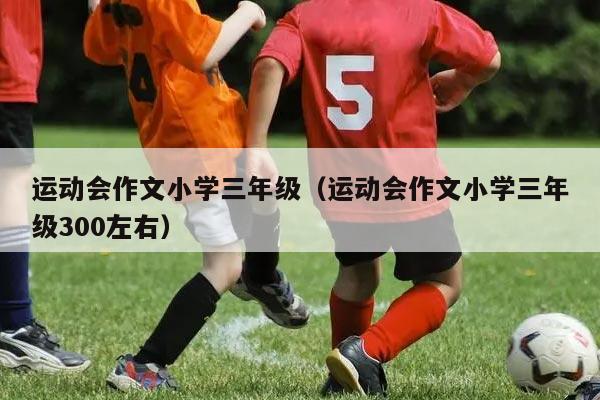 运动会作文小学三年级（运动会作文小学三年级300左右）