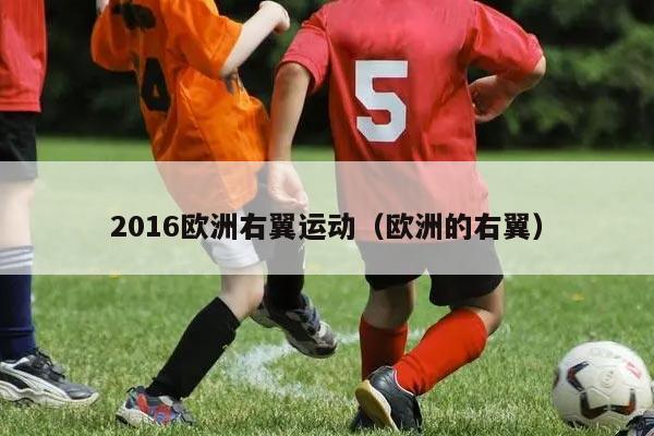 2016欧洲右翼运动（欧洲的右翼）