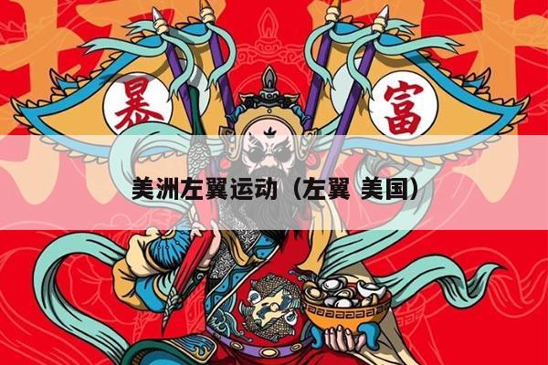 美洲左翼运动（左翼 美国）