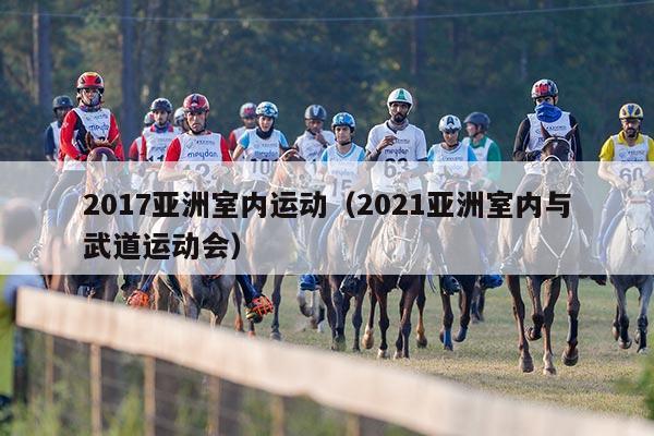 2017亚洲室内运动（2021亚洲室内与武道运动会）