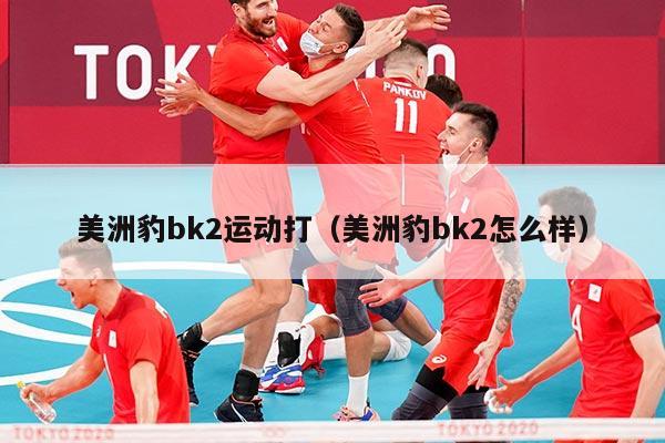 美洲豹bk2运动打（美洲豹bk2怎么样）