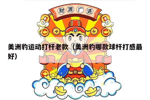 美洲豹运动打杆老款（美洲豹哪款球杆打感最好）