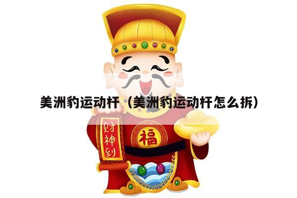 美洲豹运动杆（美洲豹运动杆怎么拆）