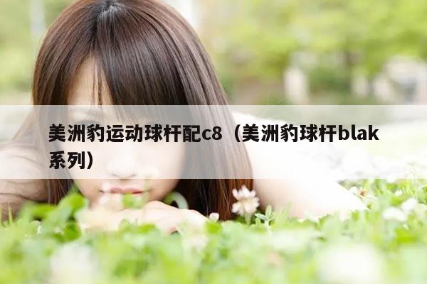 美洲豹运动球杆配c8（美洲豹球杆blak系列）