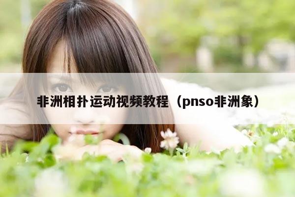 非洲相扑运动视频教程（pnso非洲象）