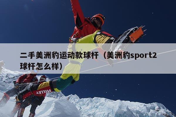 二手美洲豹运动款球杆（美洲豹sport2球杆怎么样）