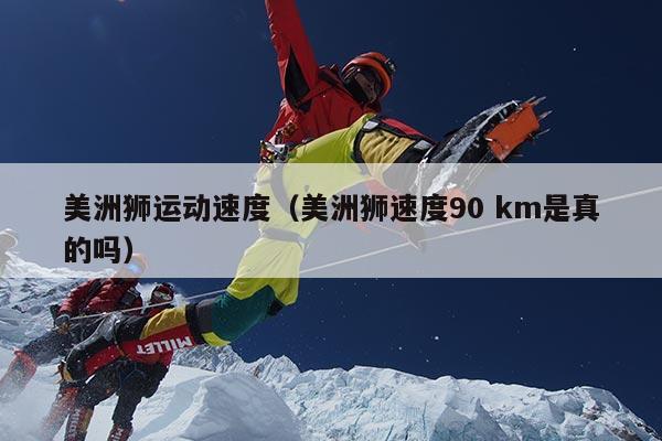 美洲狮运动速度（美洲狮速度90 km是真的吗）