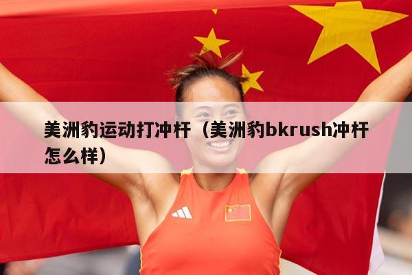 美洲豹运动打冲杆（美洲豹bkrush冲杆怎么样）