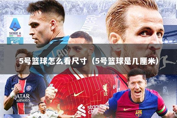 5号篮球怎么看尺寸（5号篮球是几厘米）