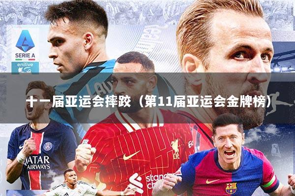 十一届亚运会摔跤（第11届亚运会金牌榜）